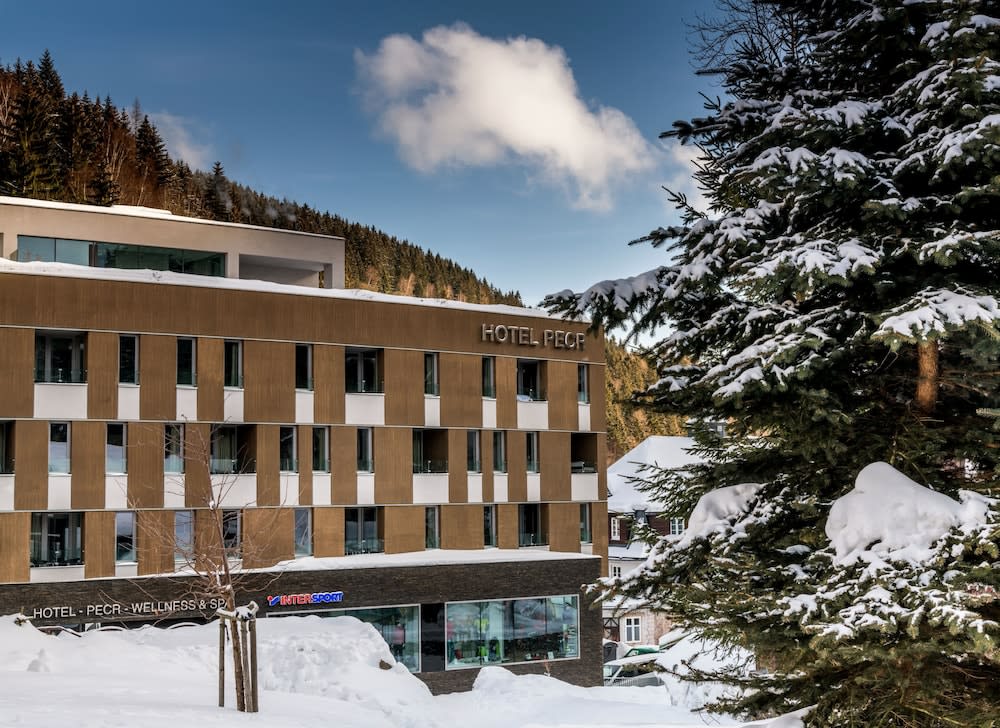 HOTEL PECR WELL 1