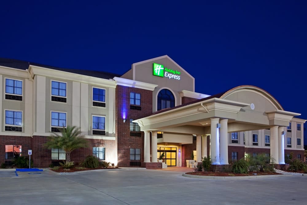 Holiday Inn Express & Suites VIDOR SOUTH by IHG 1