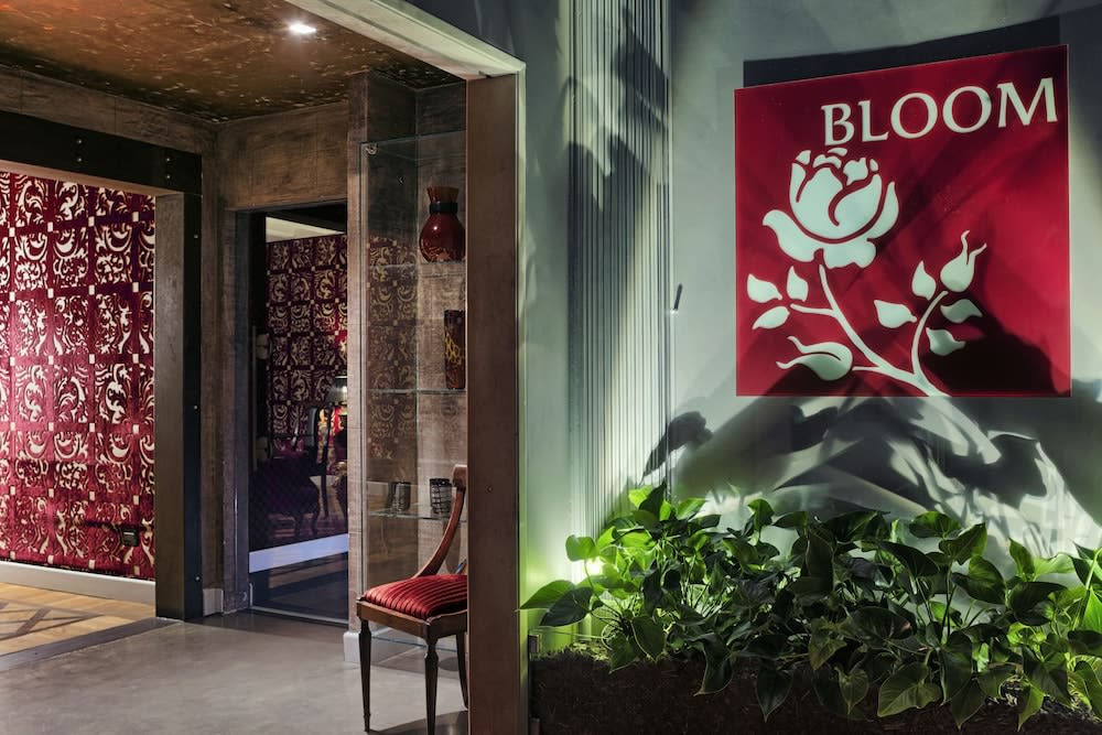 Bloom 2
