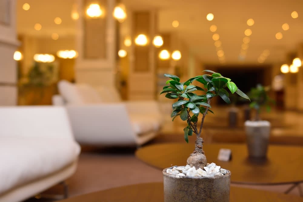 The Grand Gloria Hotel 2