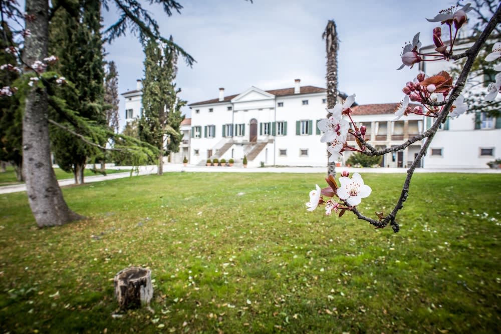 Villa Dragoni 1
