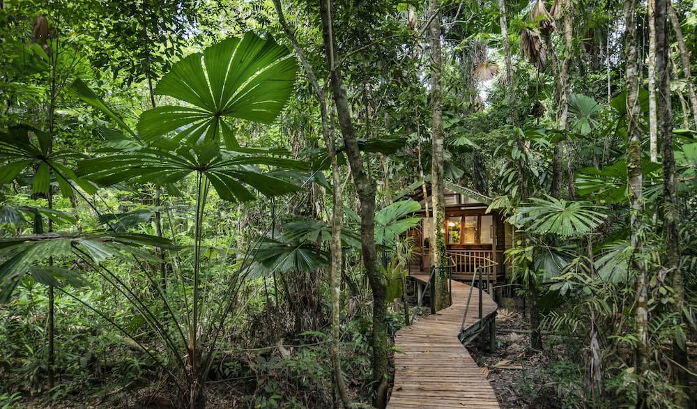 Daintree Wilderness Lodge 1