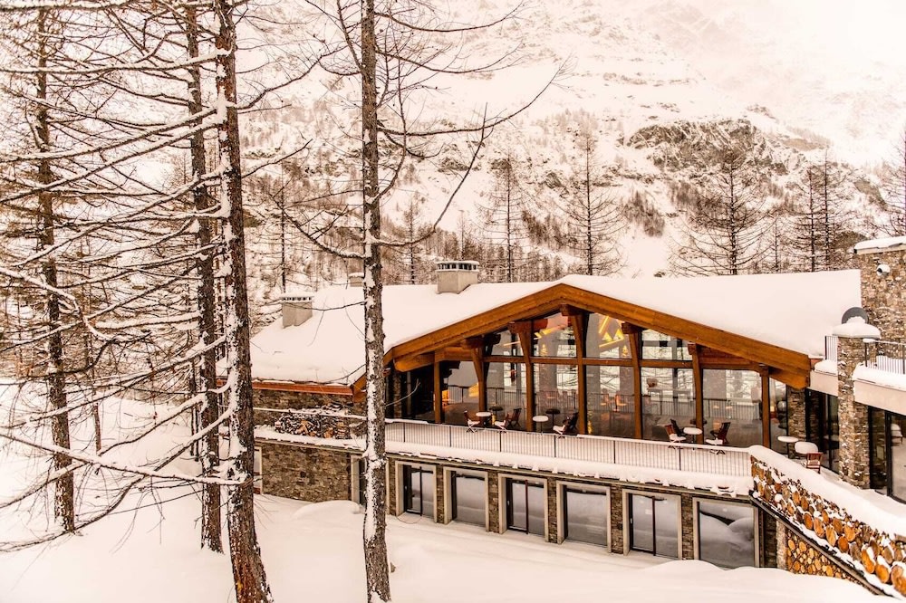 Les Neiges D'Antan 1