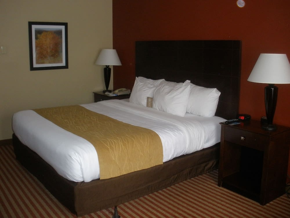 Comfort Inn & Suites 5