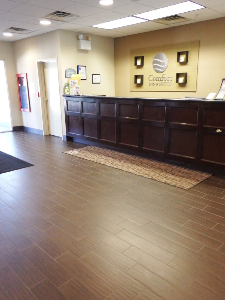 Comfort Inn & Suites 2