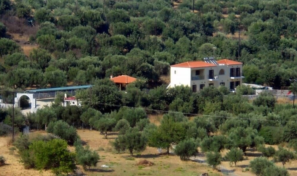 Domaine Papakonstantis 1
