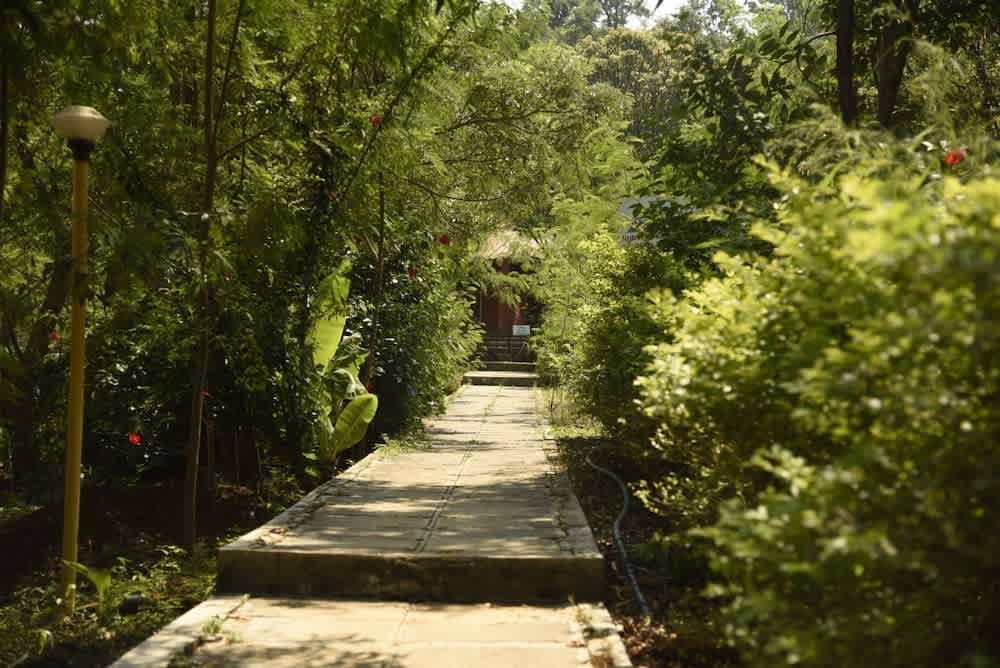 Wild Camp- The Nature Resort 2