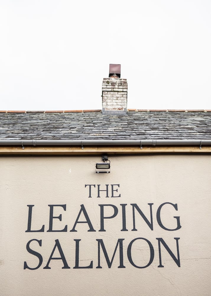 The Leaping Salmon 1