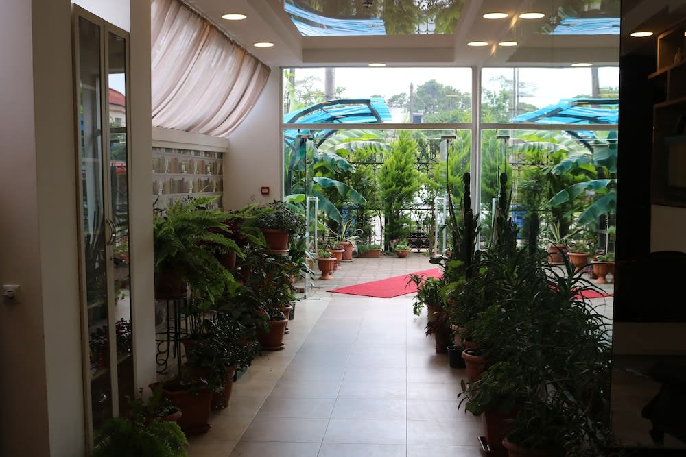 Seashell 2
