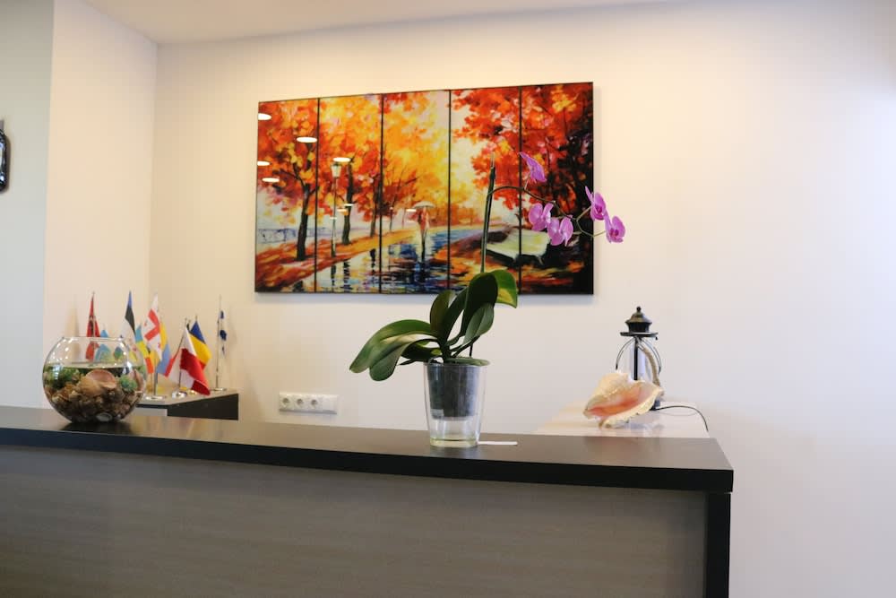 Seashell 1