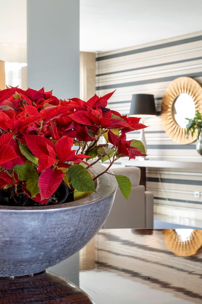 Hotel Porta do Sol Conference & SPA 2