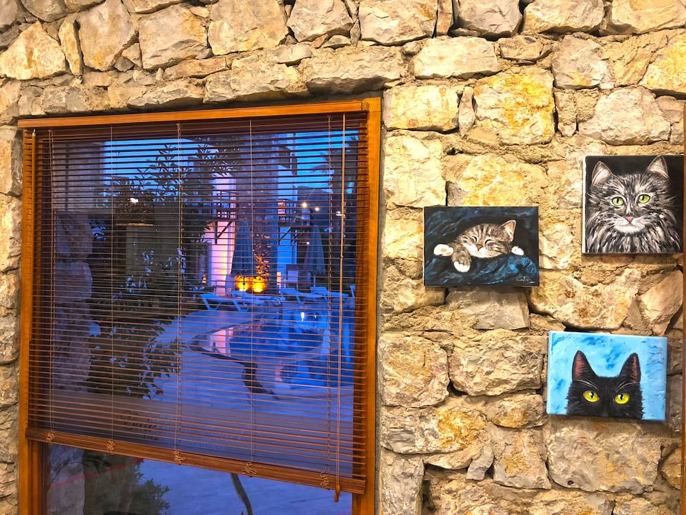Butikhan Otel 2