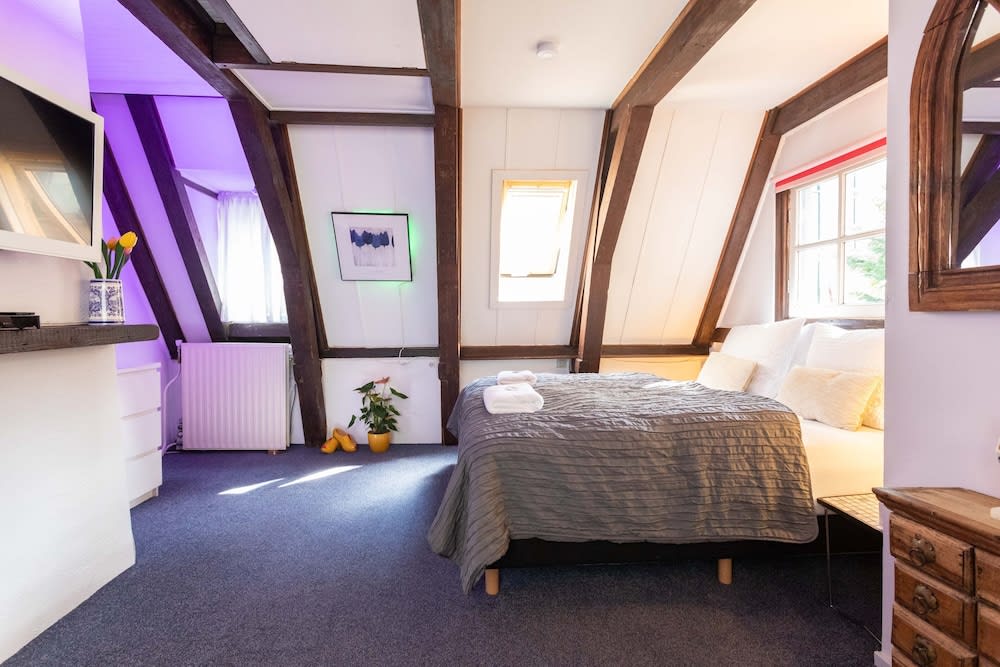 Tulip of Amsterdam 2