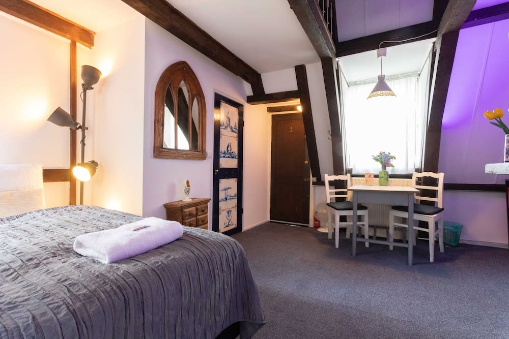 Tulip of Amsterdam 5