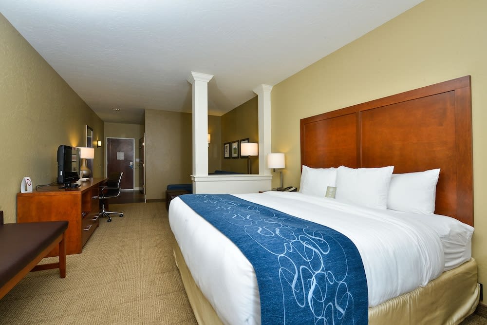 Comfort Suites Airport-University 5