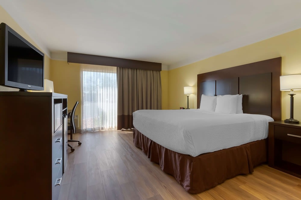 Best Western Phoenix Goodyear Inn 5