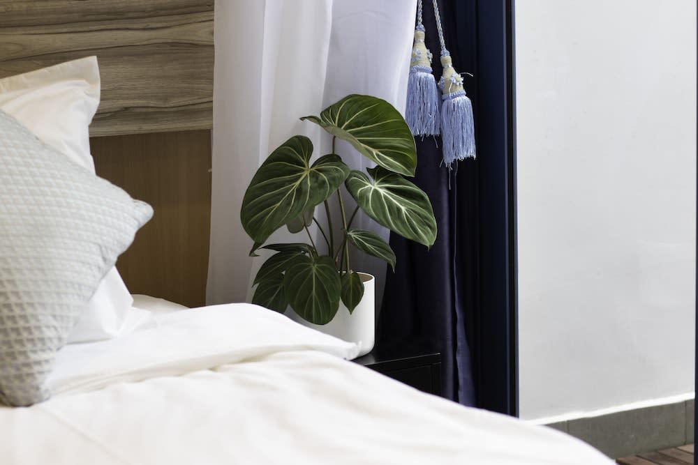 Victoria Hotel a NuVe Group Collection 5