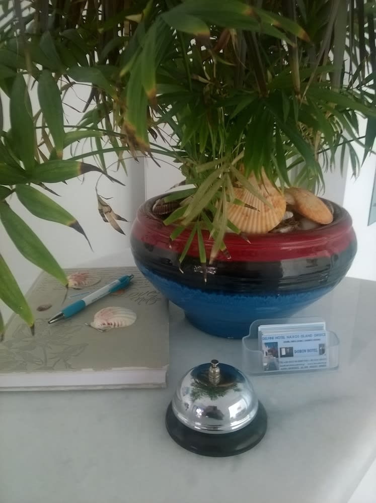 Doron Hotel Delfini 2