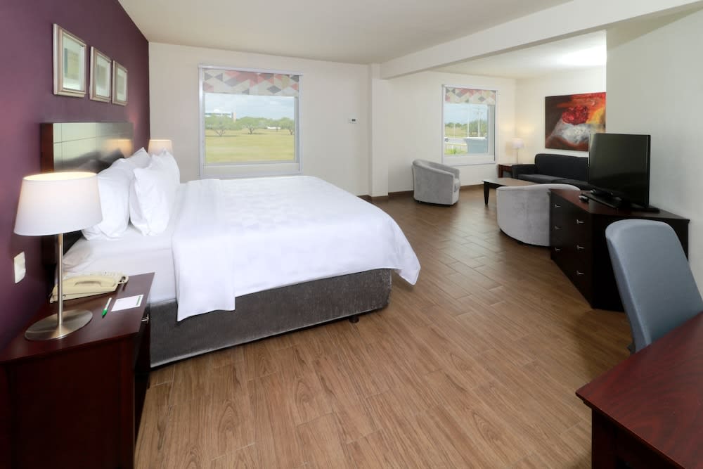 Holiday Inn REYNOSA-INDUSTRIAL PONIENTE by IHG 2