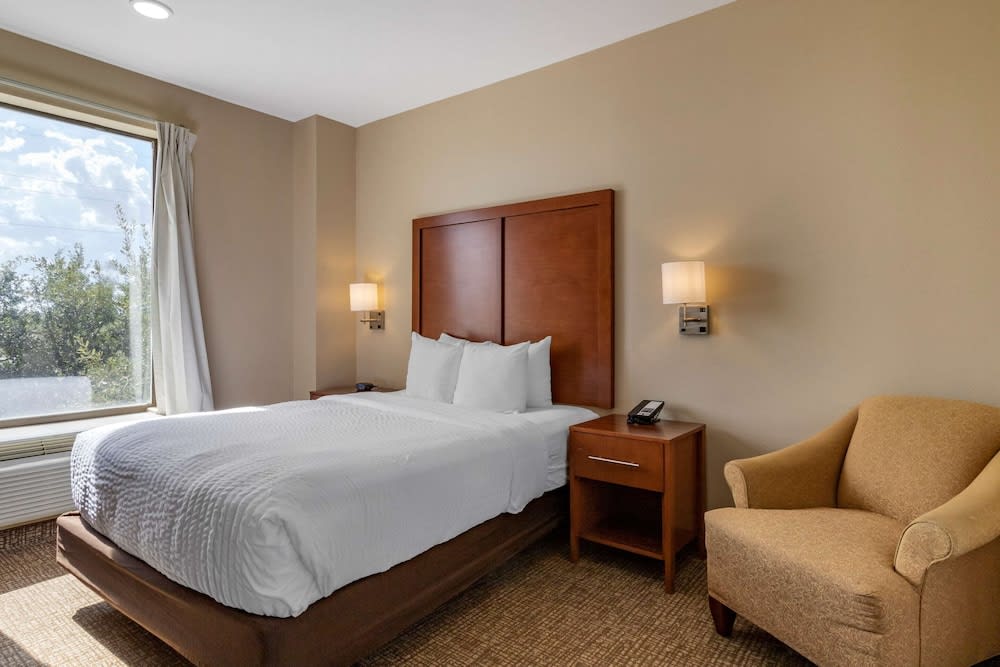 Comfort Suites near Texas Medical Center - NRG Stadium 4