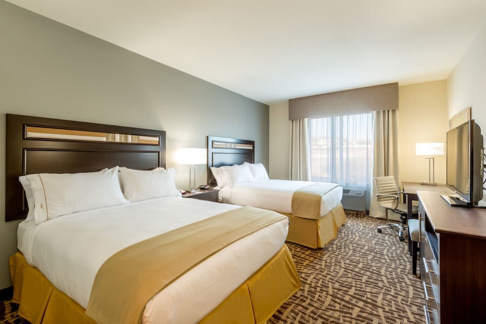 Holiday Inn Express & Suites Denver South - Castle Rock by IHG 3