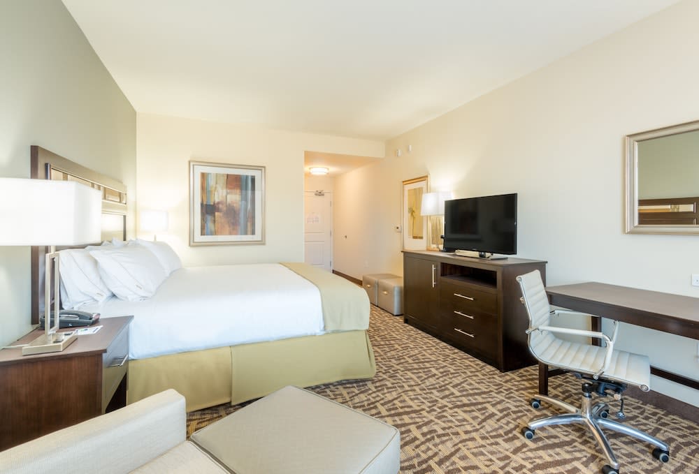 Holiday Inn Express & Suites Denver South - Castle Rock by IHG 5