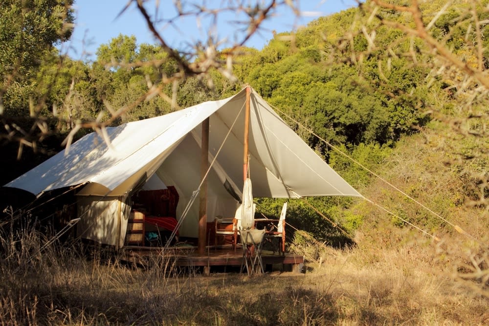 Quatermain's 1920's Safari Camp – Amakhala Game Reserve 1