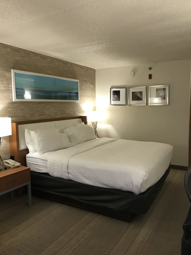 Holiday Inn & Suites Bolingbrook, an IHG Hotel 2