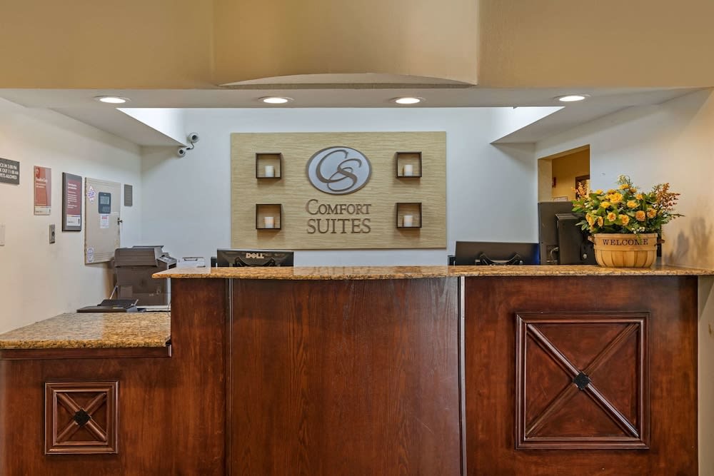 Comfort Suites North Dallas 2