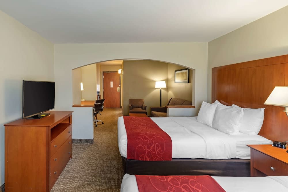 Comfort Suites North Dallas 5