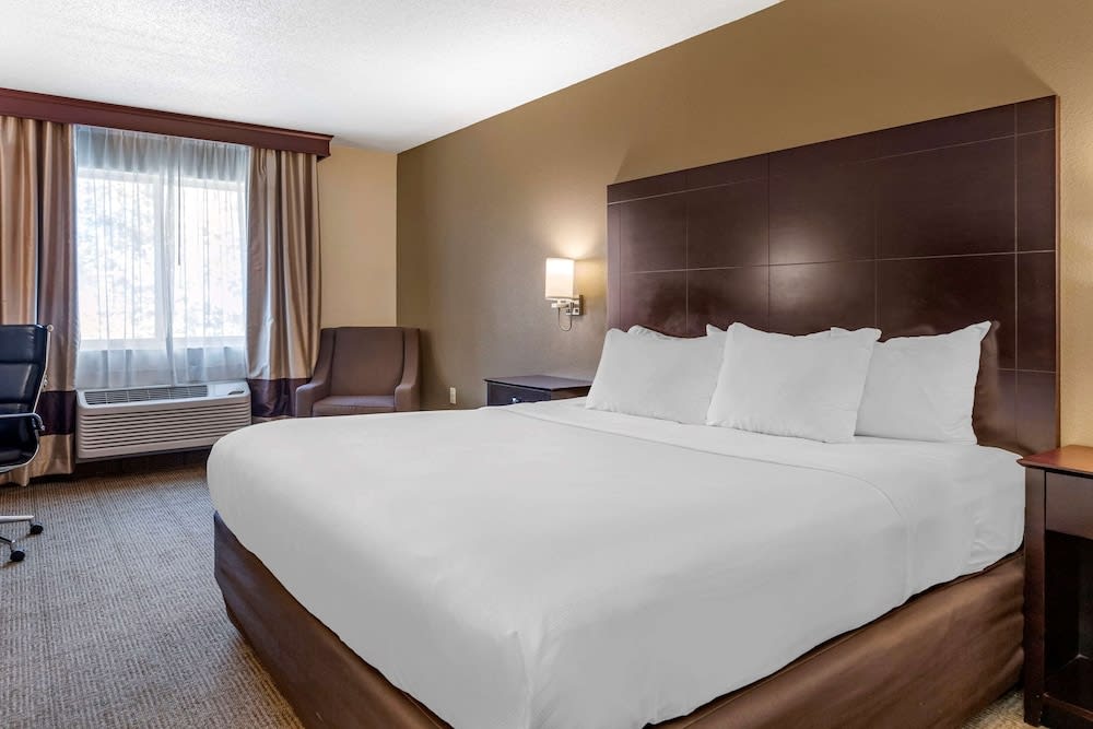 Comfort Inn & Suites 1