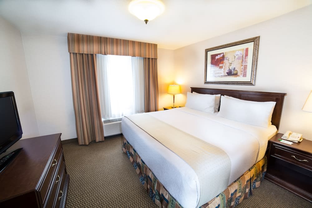 Holiday Inn & Suites WEST EDMONTON by IHG 2