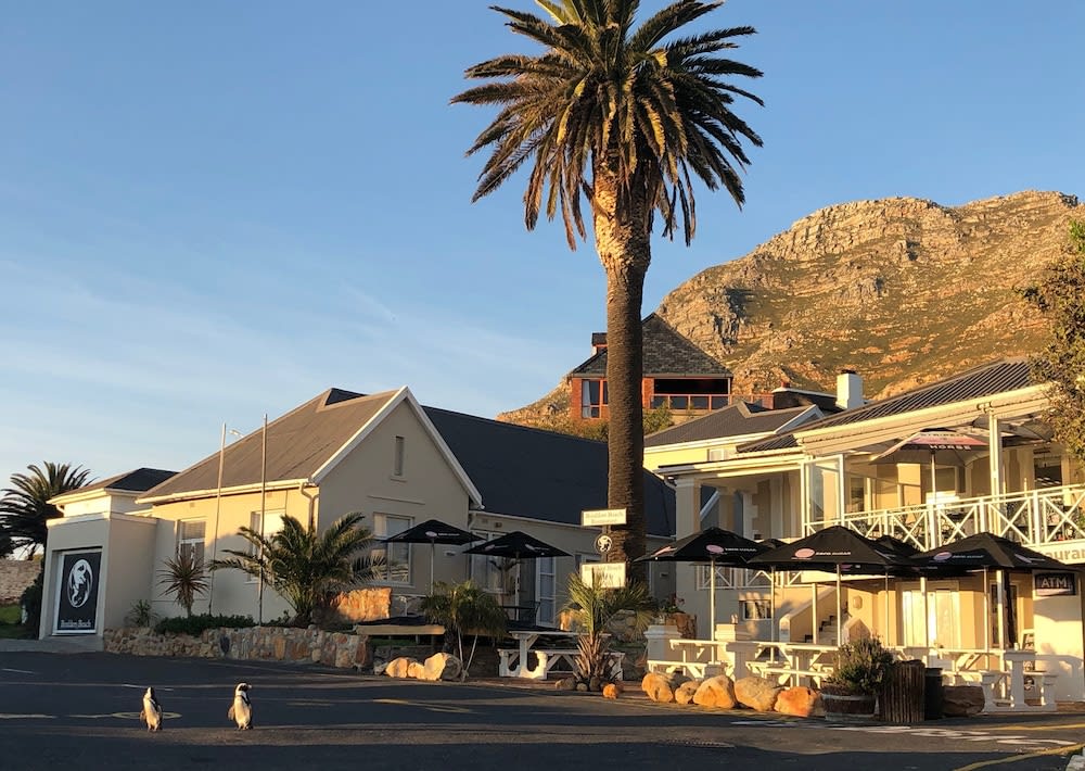 Boulders Beach Hotel, Cafe and Curio shop 1