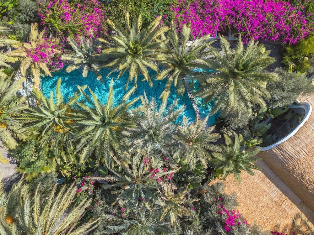 Flamingo Hotel & Spa - Pet Friendly, Fethiye | Best deals | lastminute.com