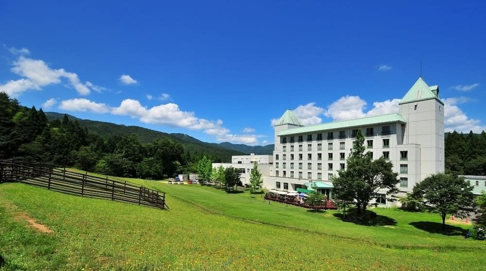 Blue Ridge Hotel 1