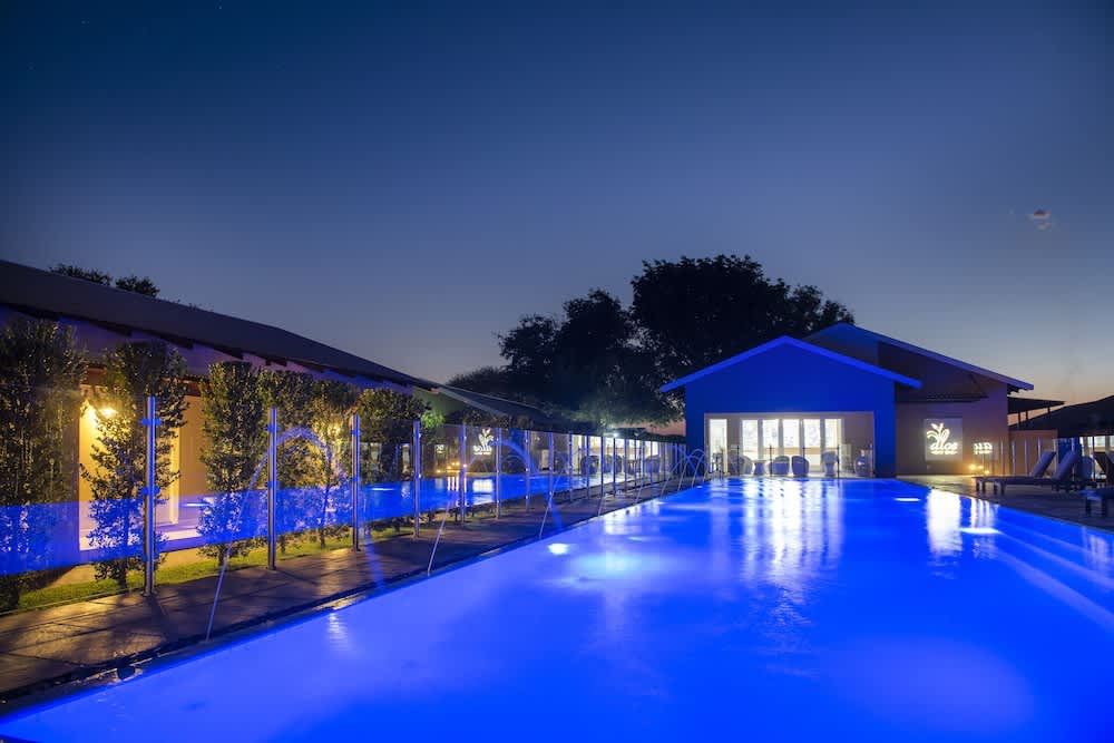 Palm Park Hotel 1