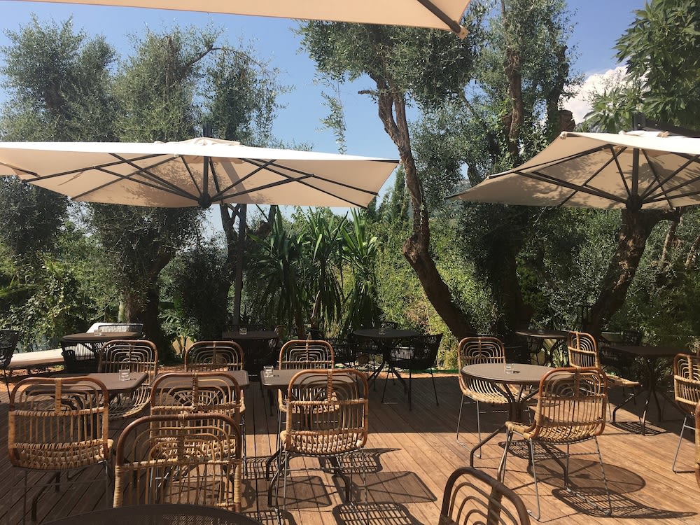 Avocado Hôtel Restaurant 1