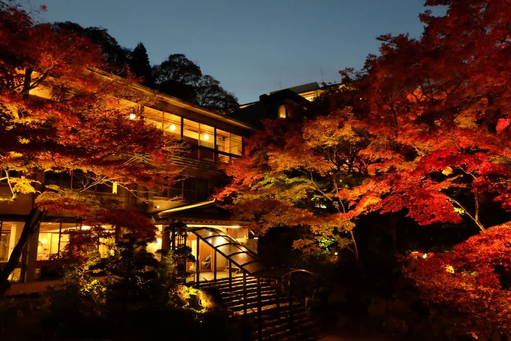Negiya Ryofukaku 1