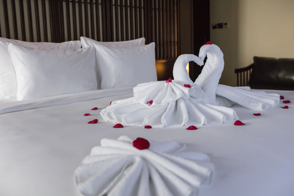 Scarlet Pearl Cruises - Wonder On Lan Ha Bay 2