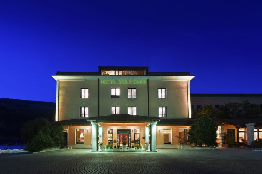Hôtel des Vignes 1