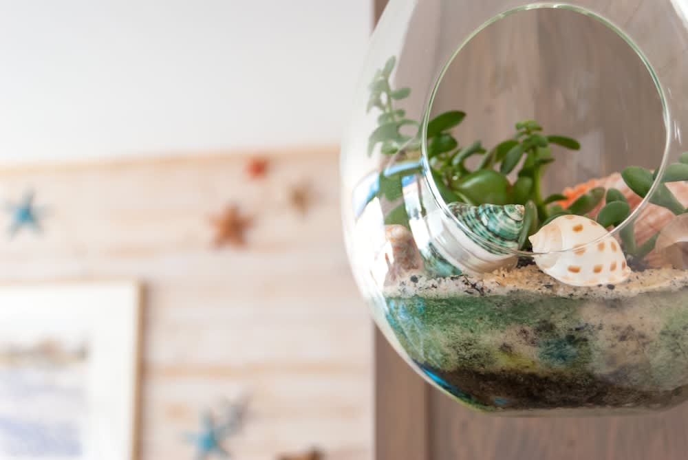 Hôtel La Côte Océane- 250 m plage 2