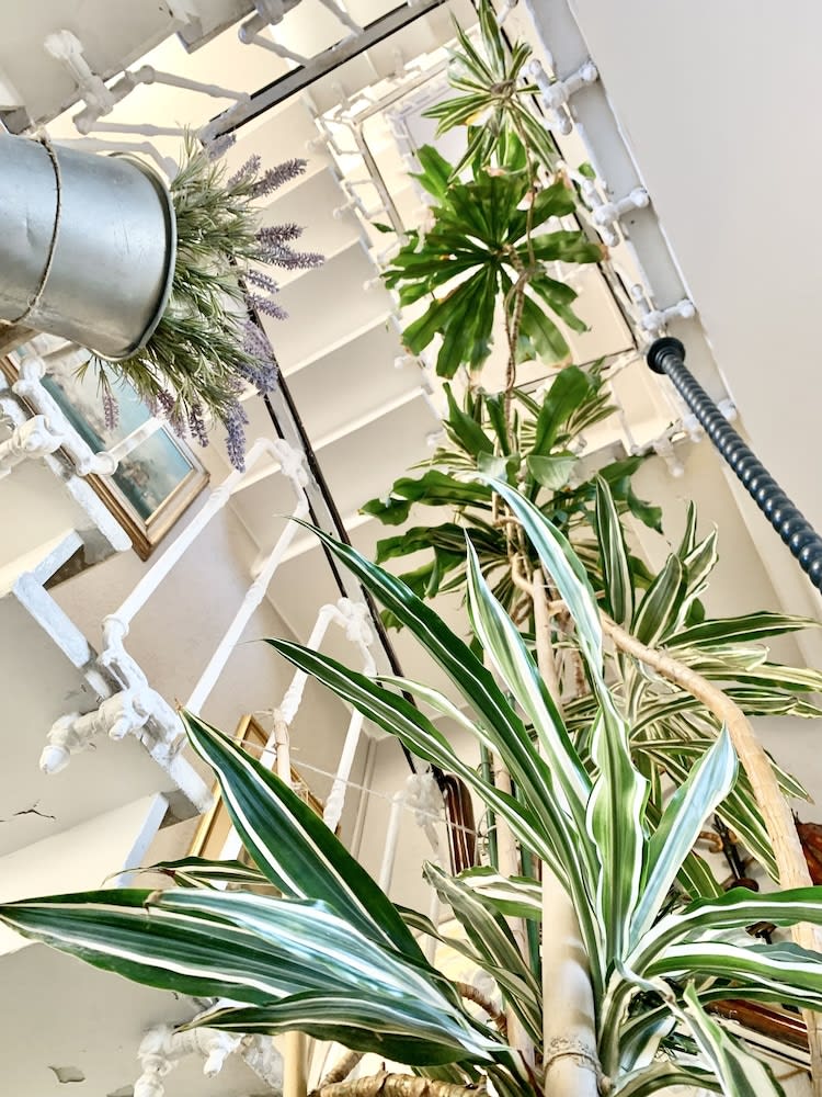 Hotel Castello Miramare 3