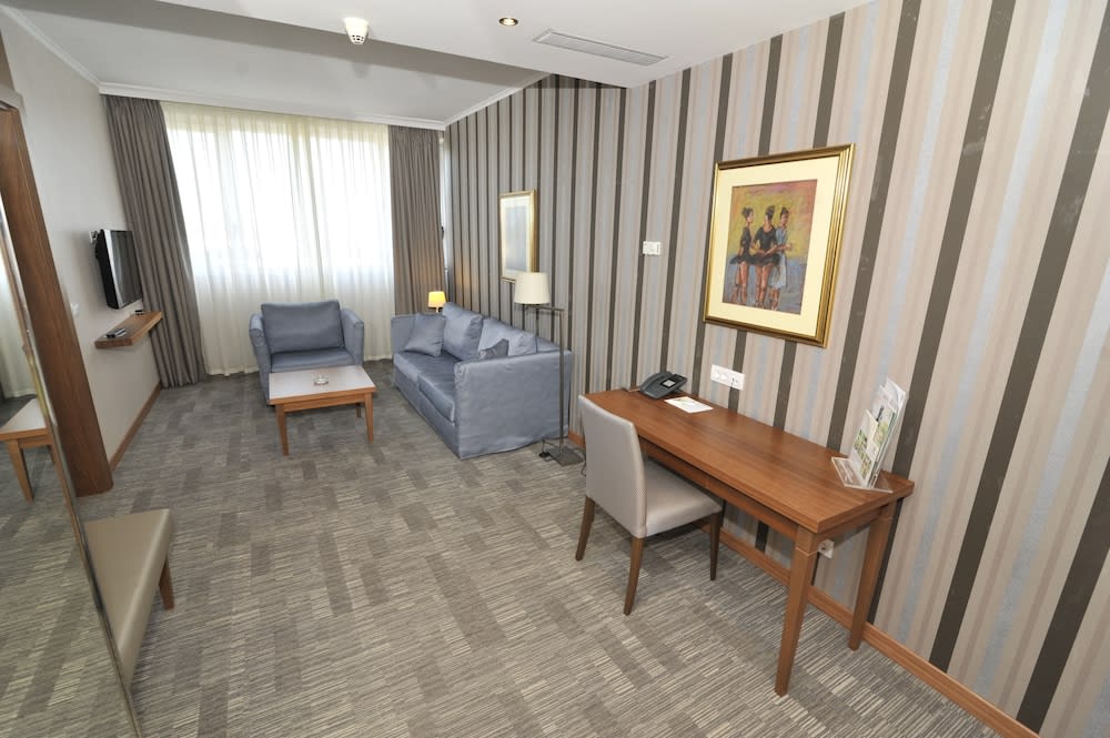 Holiday Inn SKOPJE by IHG 3