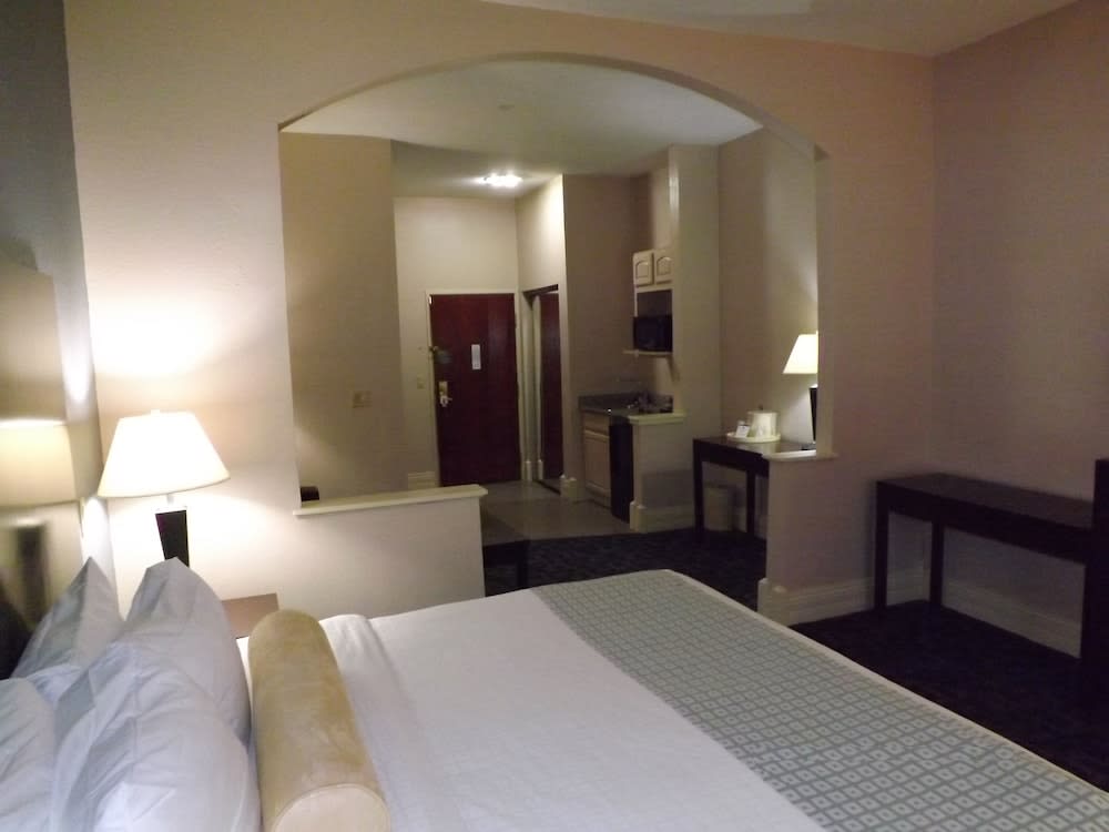 Best Western Plus Kalamazoo Suites 4