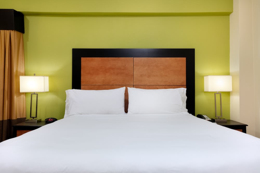 Holiday Inn Express and Suites Atlanta Downtown, an IHG Hotel 3