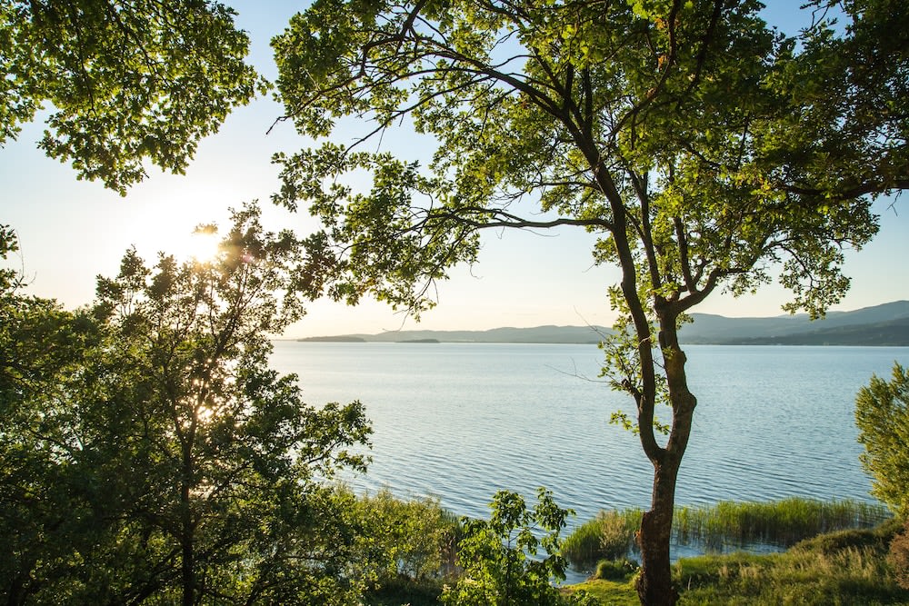 Cerquestra Camping Village 1