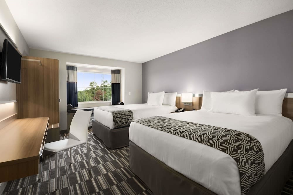 Microtel Inn & Suites by Wyndham 2
