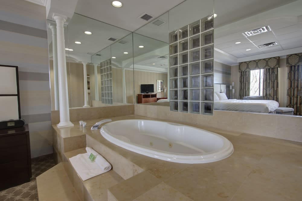 Holiday Inn PLAINVIEW-LONG ISLAND by IHG 2