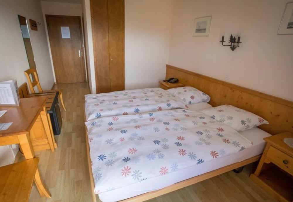 Hôtel Restaurant le Gruyérien 3