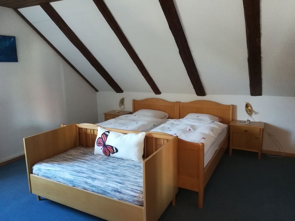 Hôtel Restaurant le Gruyérien 5